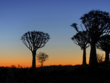 Vacanze studio di inglese per adulti in Sud Africa